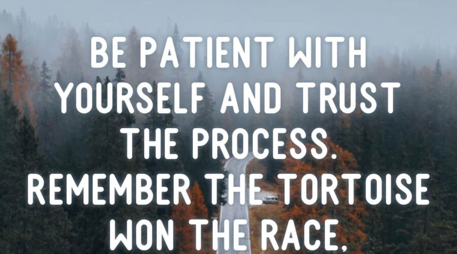 Steady Wins the Race